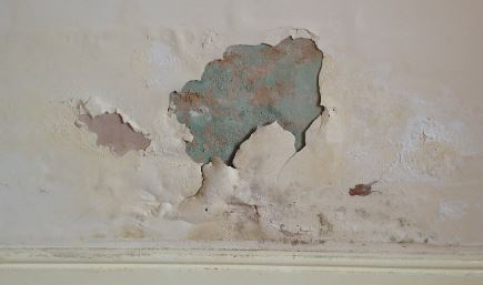 رطوبة جدران