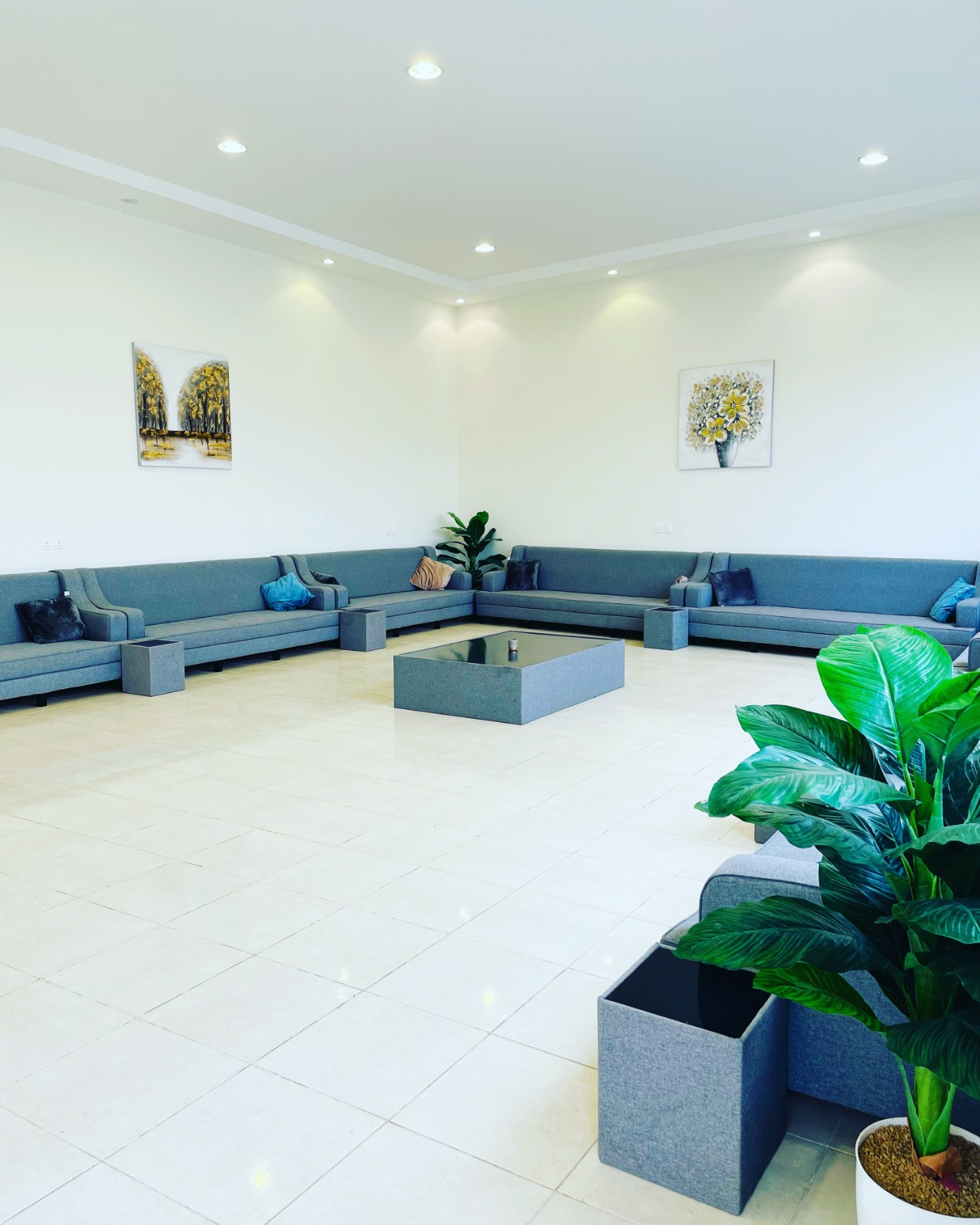 للتواصل واتساب